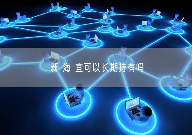新 海 宜可以长期持有吗