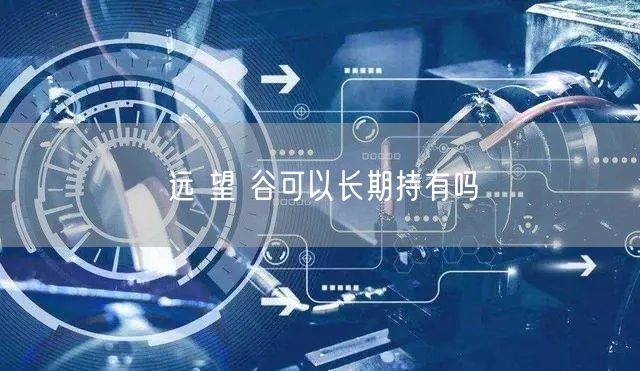 远 望 谷可以长期持有吗