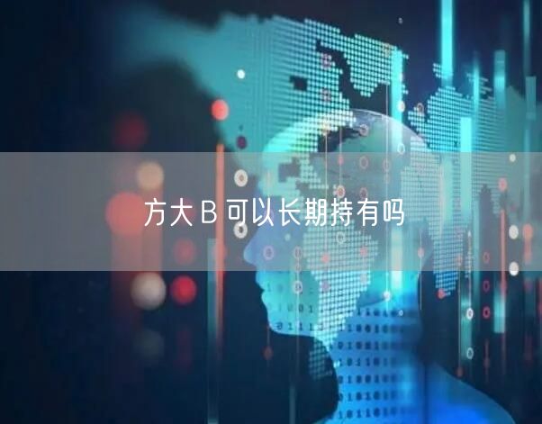 方大Ｂ可以长期持有吗