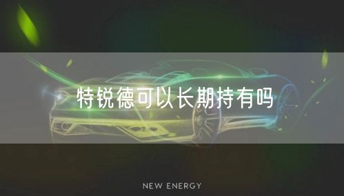 特锐德可以长期持有吗