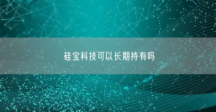硅宝科技可以长期持有吗